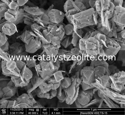 40umチタニウムのSilicalite 1のゼオライトの触媒CAS 1318 02 1